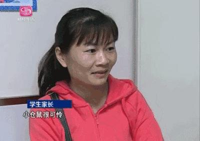 武汉仓鼠咬到小孩,小孩被小仓鼠咬伤