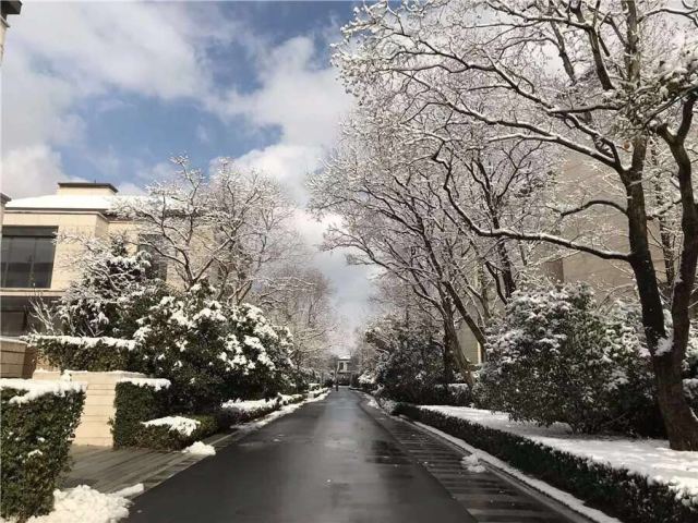 上海徐泾别墅多少钱一平,上海徐泾板块别墅