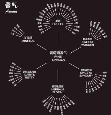 葡萄酒小知识葡萄酒怎么喝,喝葡萄酒一定要多了解葡萄酒知识