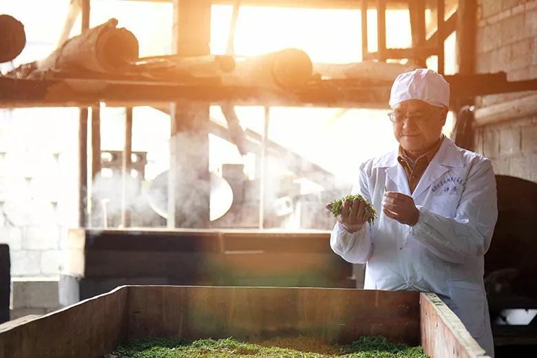 明前恩施玉露|金风玉露一相逢,便胜却人间无数