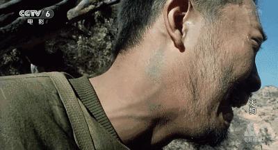 那个不为人知的故事真实改编,触目惊心的故事