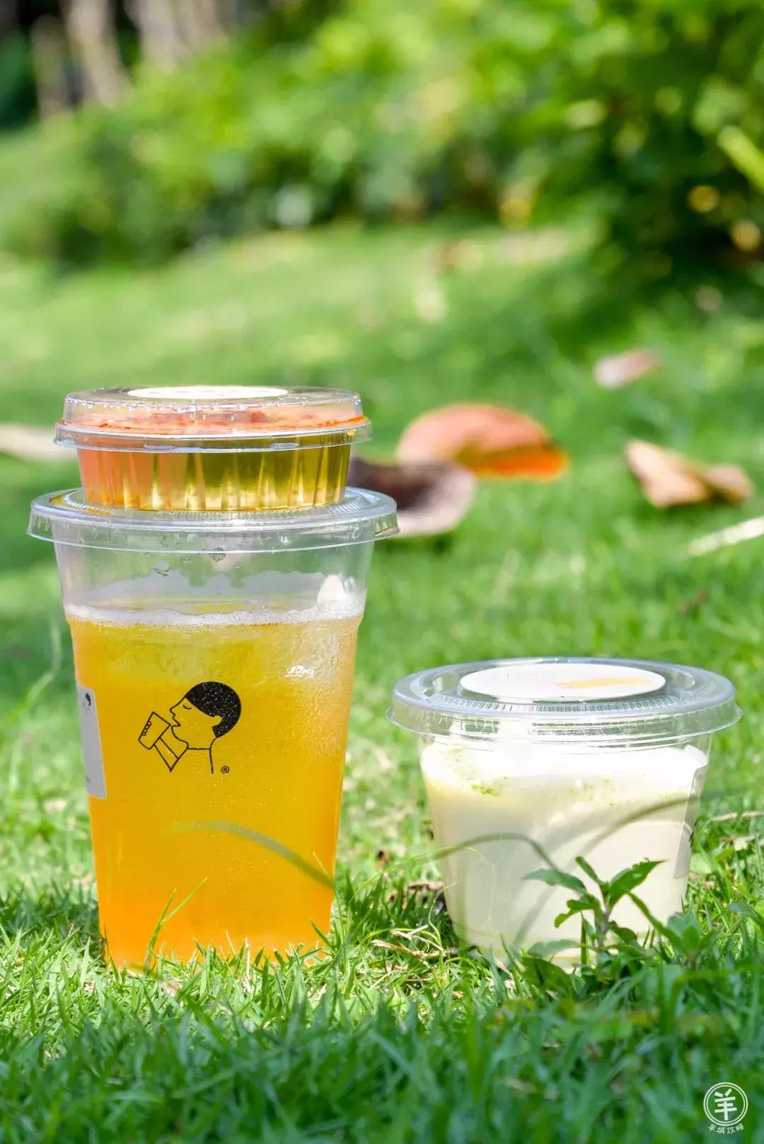 网红奶茶喜茶,coco奶茶跟喜茶