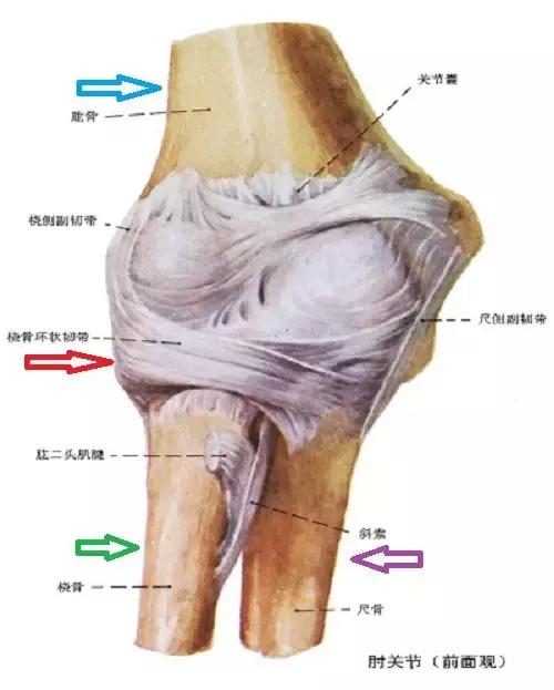 双排牙预防方法,预防孩子双排牙有什么方法