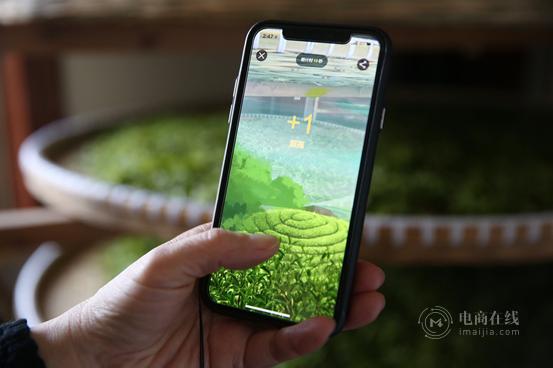 卢正浩茶叶的名气为啥这么大,卢正浩茶叶怎么样知乎