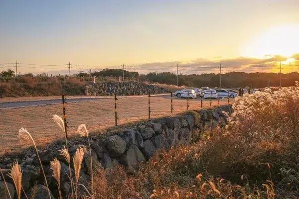 济州岛旅游攻略三天两夜冬天,济州岛旅游必看攻略冬天