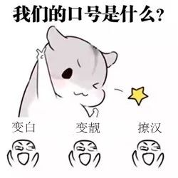 谁说平价无好货,谁说低价不能买大牌