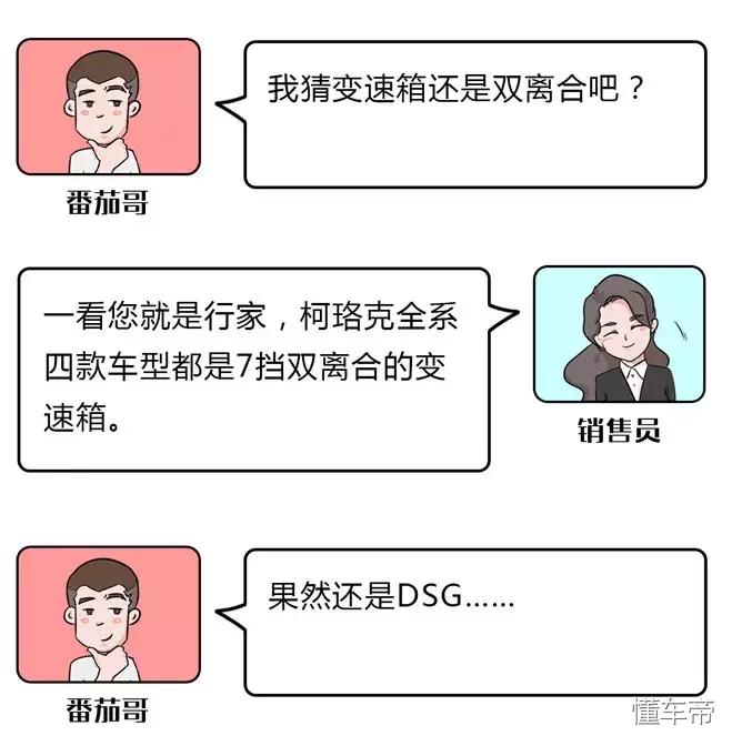 斯柯达13万落地车,大众捷克suv