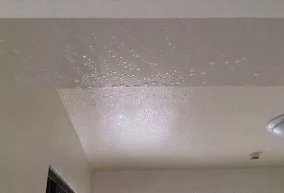 家里潮湿怎么解决最有效,家里空气太湿怎么办