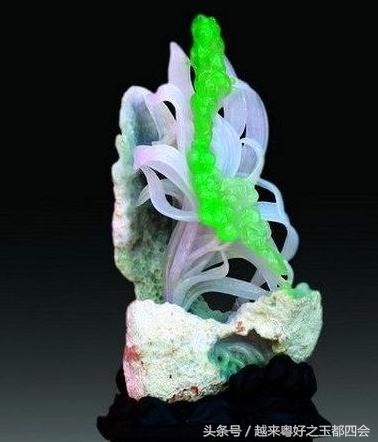 哈轩翡翠知识,学翡翠专业知识