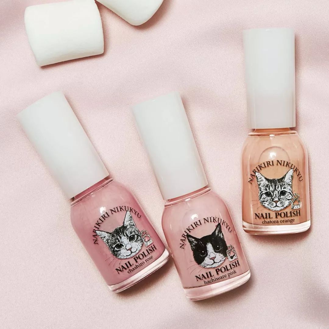 放开我的钱包啊！令猫奴闻风丧胆的种草大会！