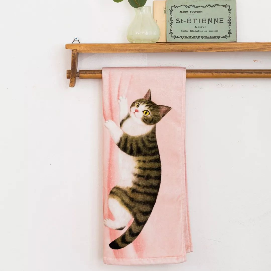 放开我的钱包啊！令猫奴闻风丧胆的种草大会！