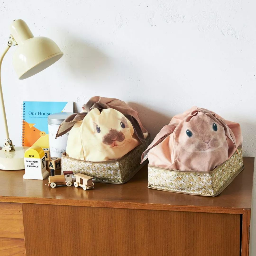 放开我的钱包啊！令猫奴闻风丧胆的种草大会！