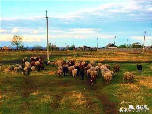房车旅行真实生活记录,真实的房车旅行生活