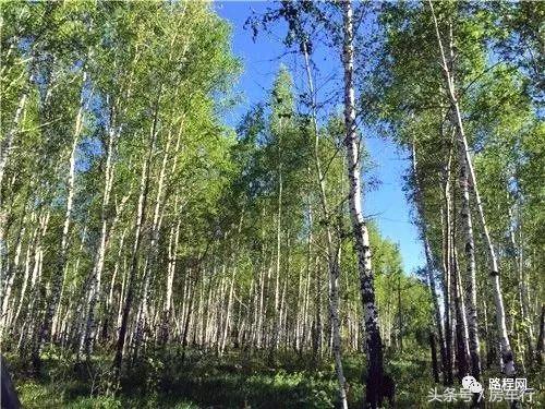 房车旅行真实生活记录,真实的房车旅行生活