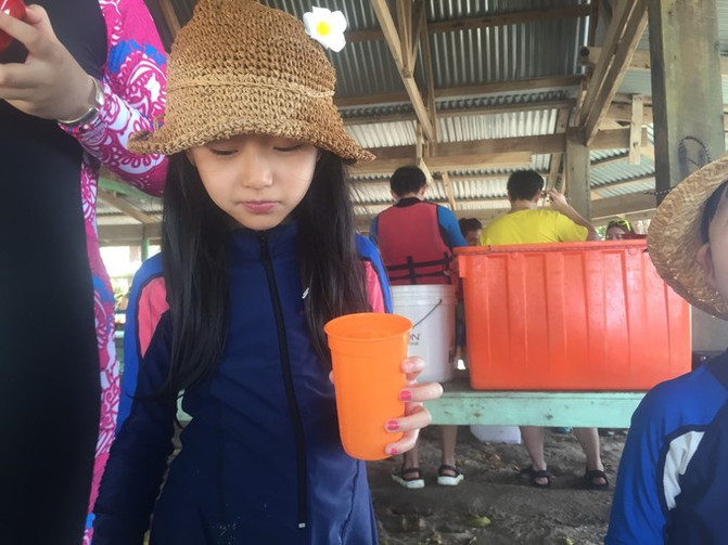 带着老人和孩子去上帝的水族馆！帕劳