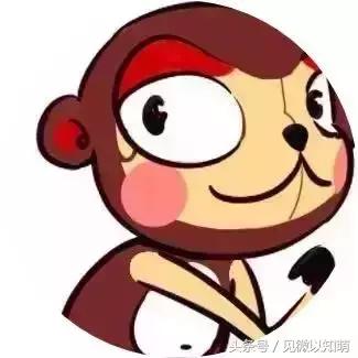 2018属相猴的运势详解,92年生肖猴2022年的运势大全