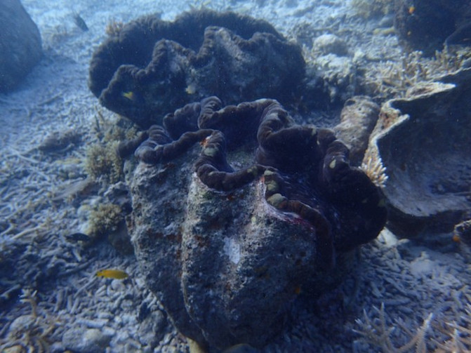 和闺蜜一起去水上世界,闺蜜一起游东湖公园