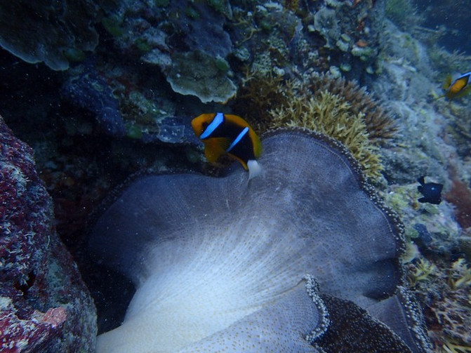闺蜜一起游东湖公园,跟闺蜜一起去观光大海