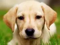 确认过的眼神是我想宠的人,确认过眼神是我想撩的灵魂