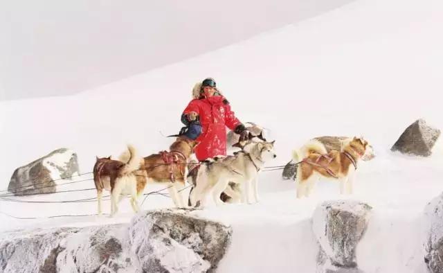 确认过的眼神是我想宠的人,确认过眼神是我想撩的灵魂