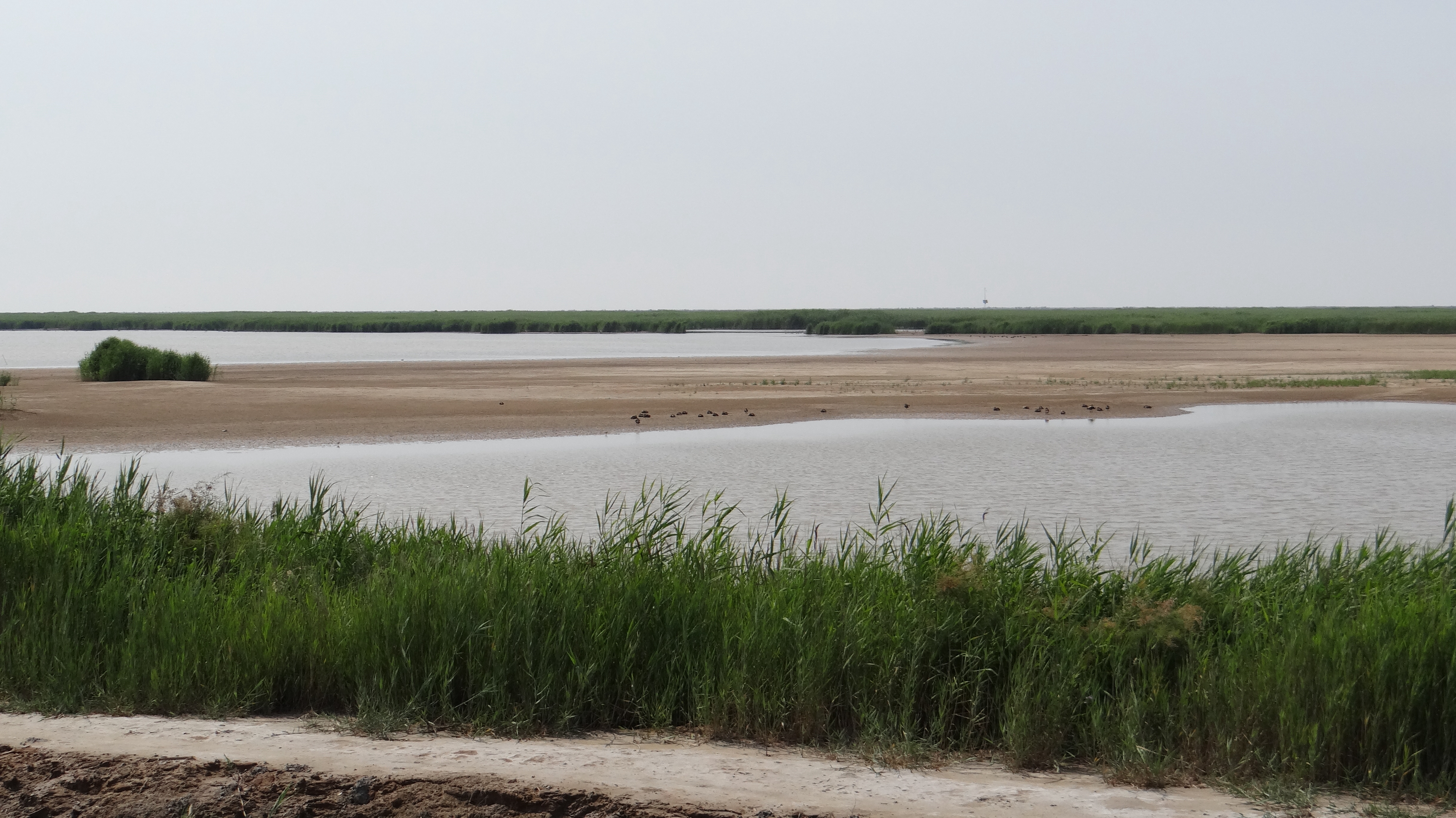 给时光以生命原文,给时光以生命的意思