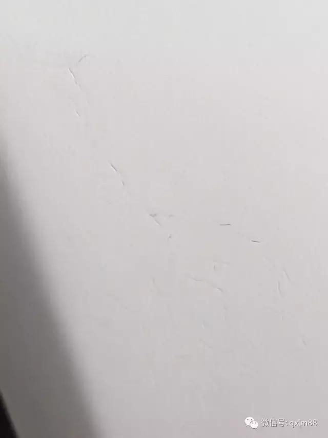 汽车喷漆试题及答案,汽车喷漆30个常见问题