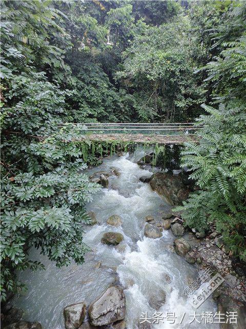 悠哉的沙巴行空气清新重要的是接机仅需1元