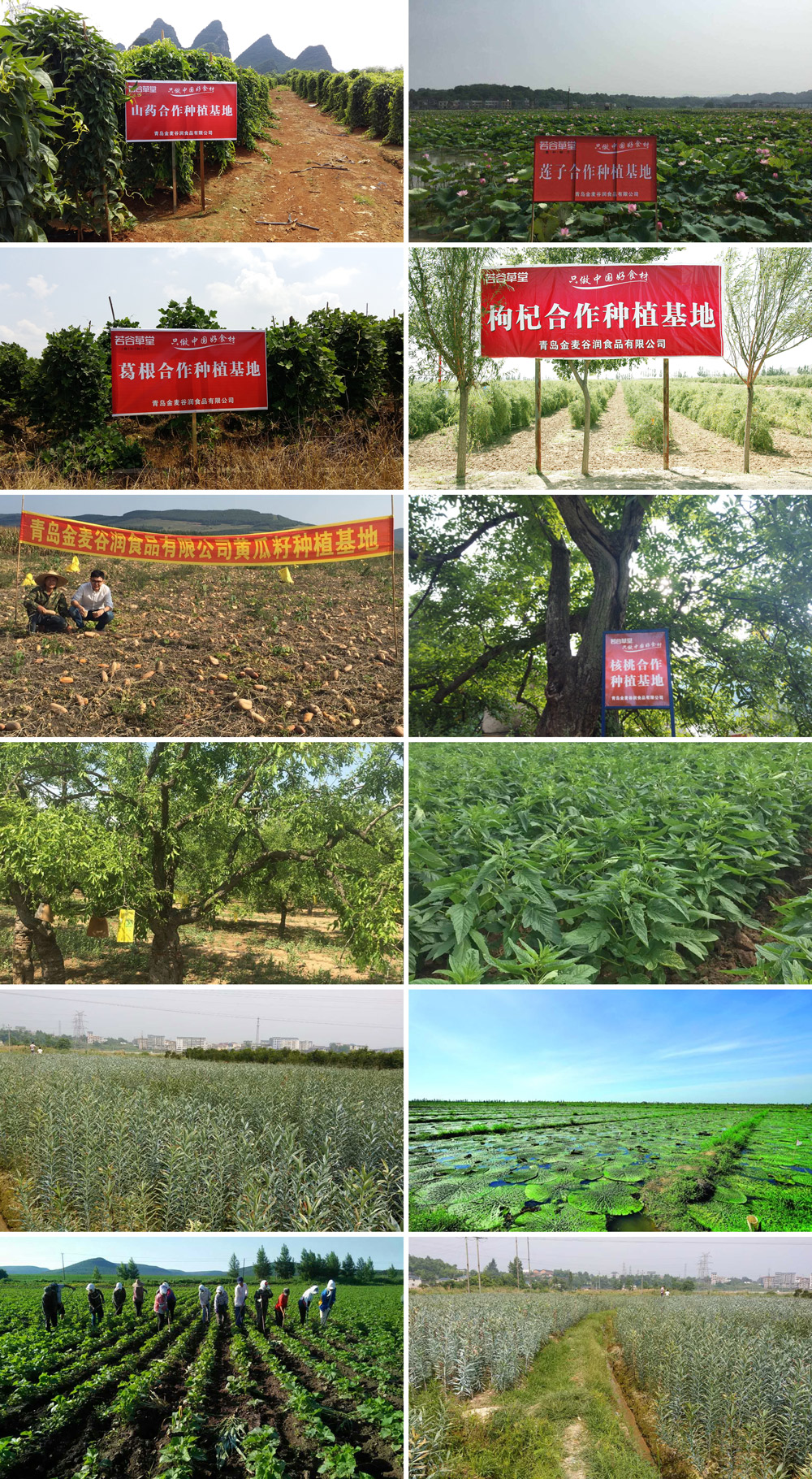 加盟五谷杂粮养生坊,加盟五谷养生磨坊怎么样