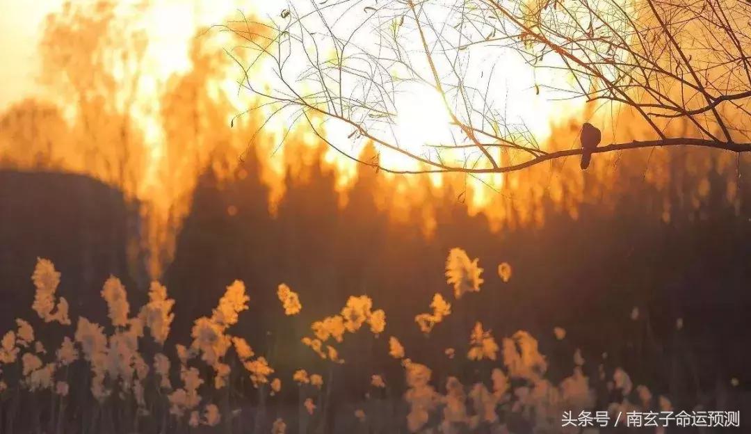 克父的人是不是克妻,克妻克子是什么命