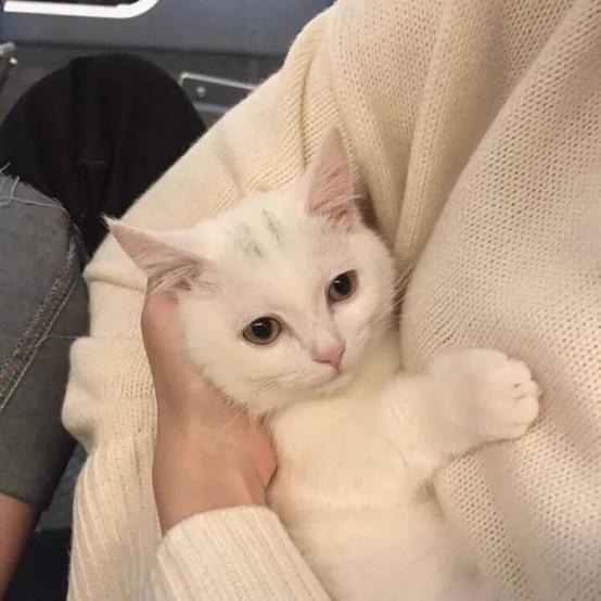 你的微信头像暴露了你的性格神准,你的微信头像暴露了你的身份