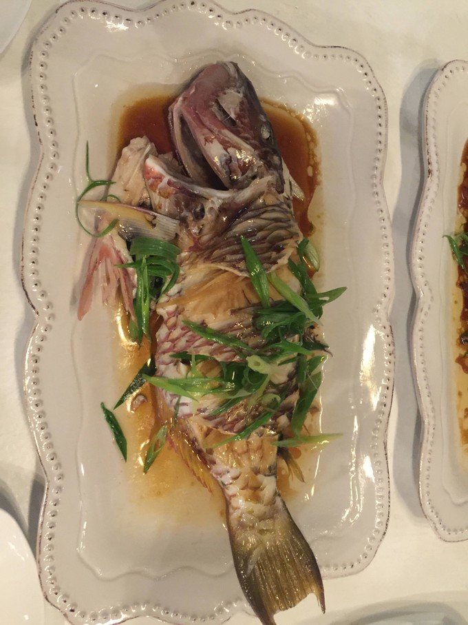 带着我的宝贝豆豆|一起去西太平洋上的海岛国家！