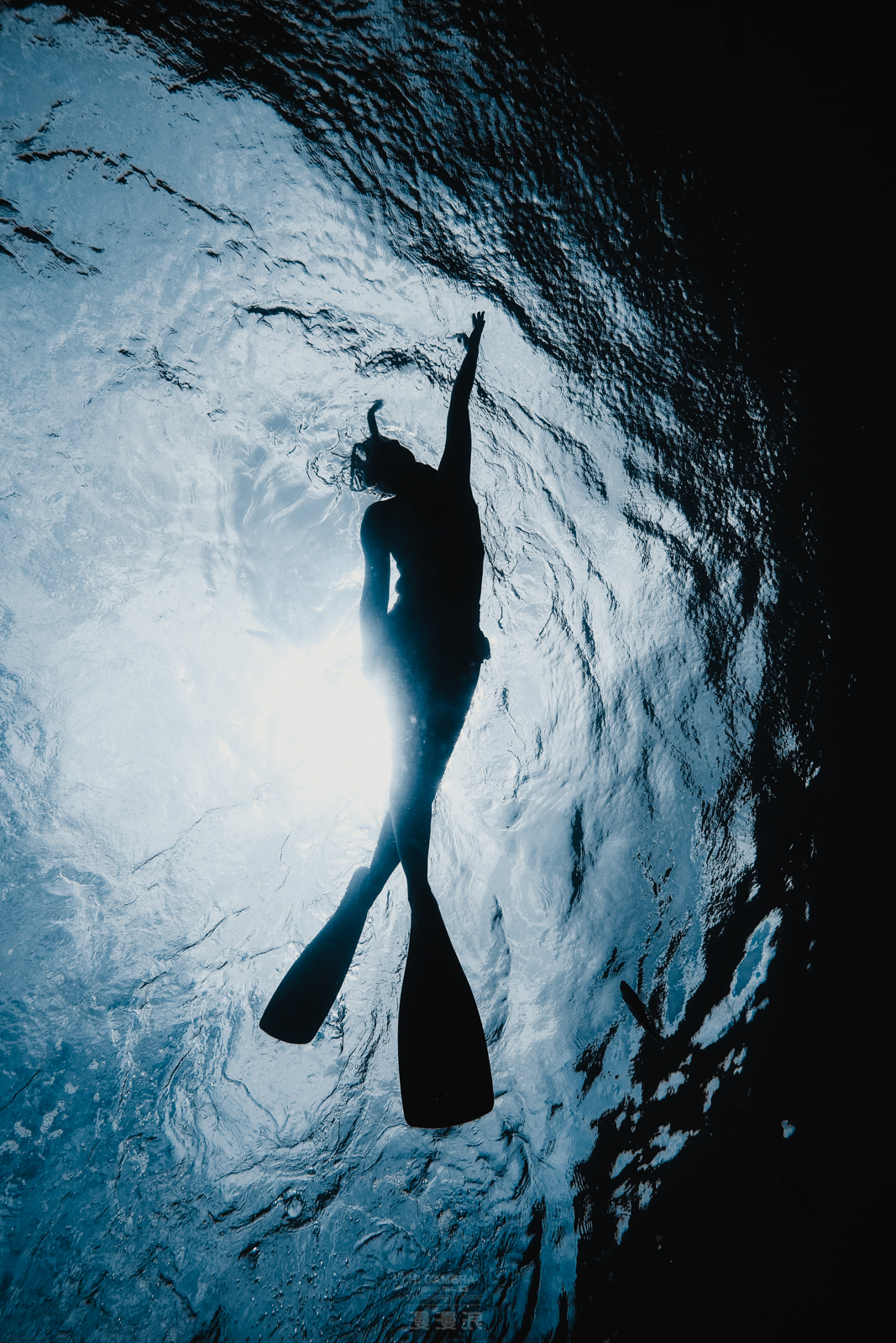 穷游住宿美食,帕劳住宿饮食