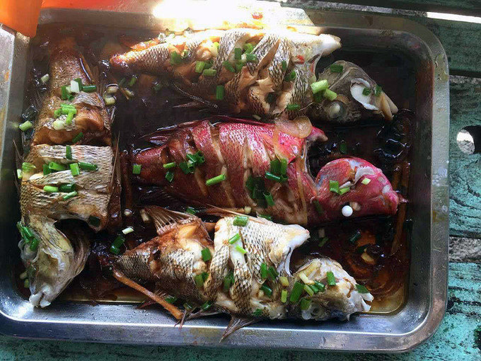 很少人知道的海岛国家！帕劳