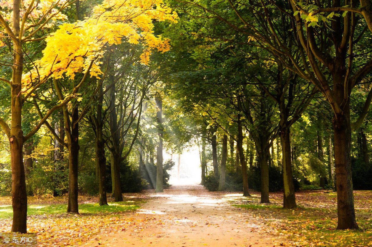 为什么当摄影师,当摄影师有前途吗