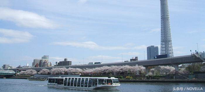 避开了人山人海的景点,避开人山人海去看星辰大海