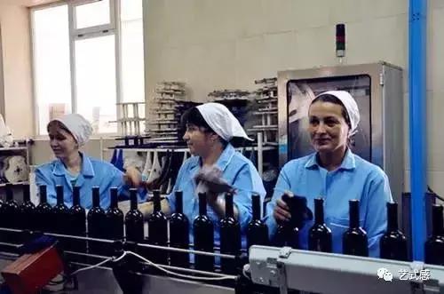 奔富假酒多吗,奔富葡萄酒真的假的