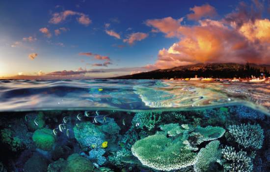 娉曞浗鍏嶇灏忓矝鏃呮父,娉曞浗鍏嶇娴峰矝鏃呮父
