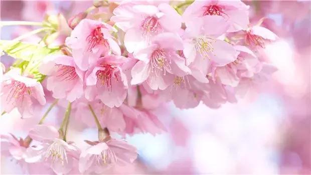 南昌梅岭一日游攻略老四坡,南昌梅岭一日游攻略冬天