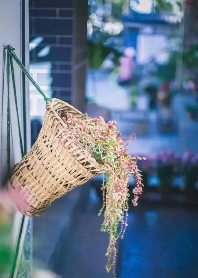 春来花自青秋至叶飘零原文解释,春来花自青秋至叶飘零出自哪里