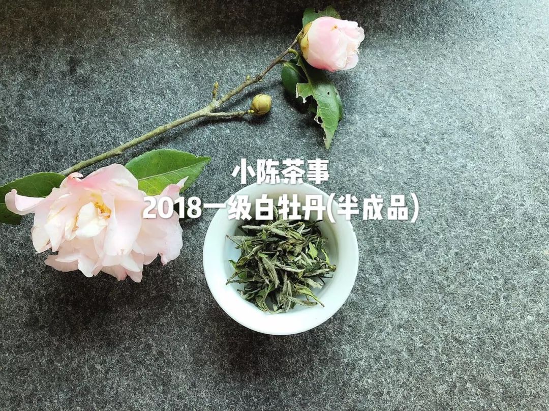 傍大师，认品牌，这些不懂茶的白茶掌柜有点“飘”了！