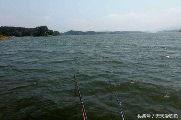 用打窝勺打窝还是用长竿打窝好,打窝是沉水打窝好还是浮水打窝好