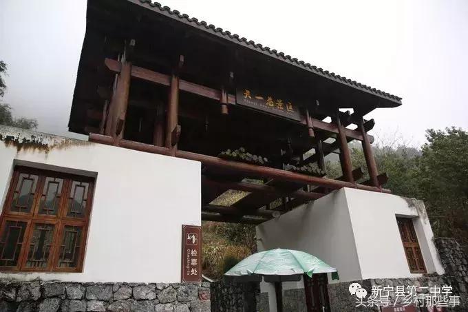 崀山鲸鱼闹海视频,不见鲸鱼的全部小说