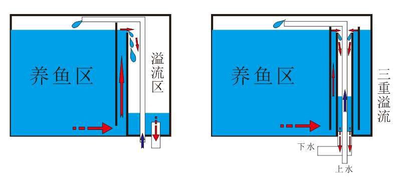 鱼缸底滤原理详细讲解,底滤鱼缸工作原理及配套配件
