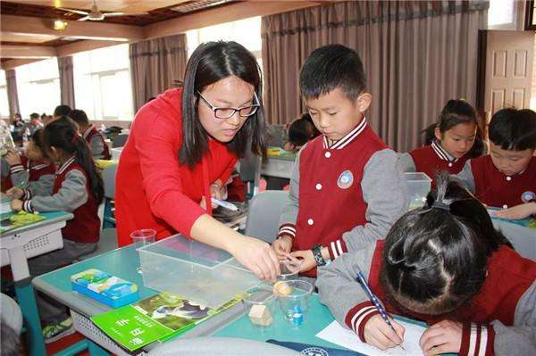 小学科学实验教学培训,小学科学暑期培训
