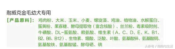 国产十大放心狗粮品牌,国产狗粮推荐性价比高