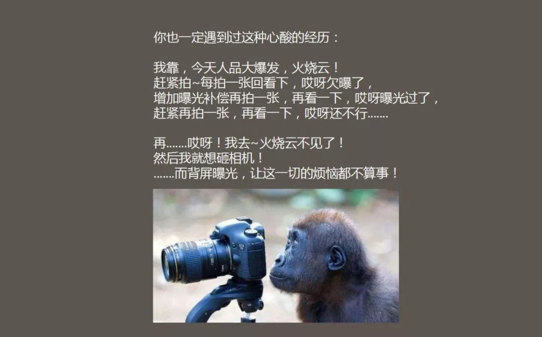 拍照测光模式的正确使用方法,手机拍照学会测光方法和测光技巧