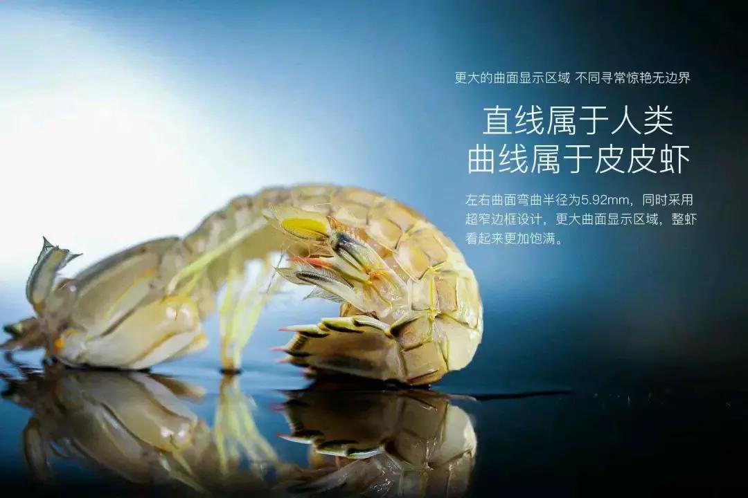 给杀猪刀写文案，神经病啊！