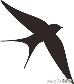 车辆的违法信息需要多久之内处理,违章小常识大全最新