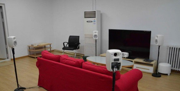 真力8050b两分频有源监听音箱 (真力有源监听音箱1038)