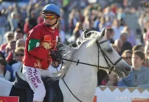 冠军归来｜中华骑师再战“成都迪拜国际杯温江迈丹赛马经典赛”